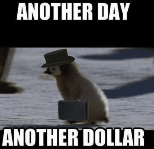 another day another dollar penguin meme